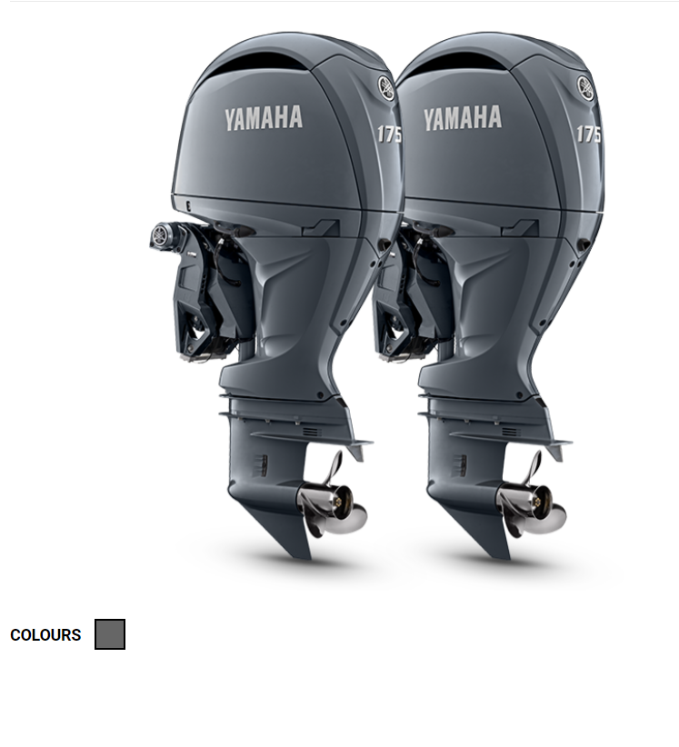 YAMAHA F175XB